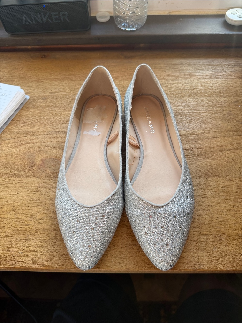 Andean Silver Sparkle Pointed-Toe Flats